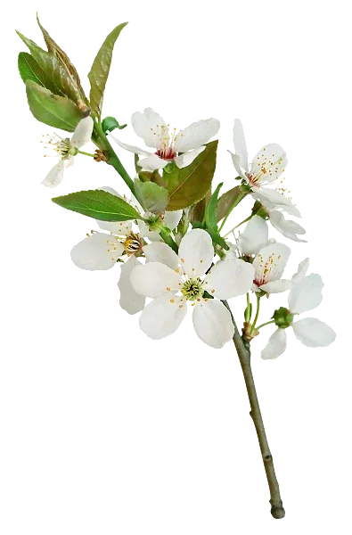 

30/40/50cm Cocktail Spoon Bar Spoon 304 Stainless Steel Mixing Spiral Pattern Bar Tool Bartender Tools Spoon With Fork