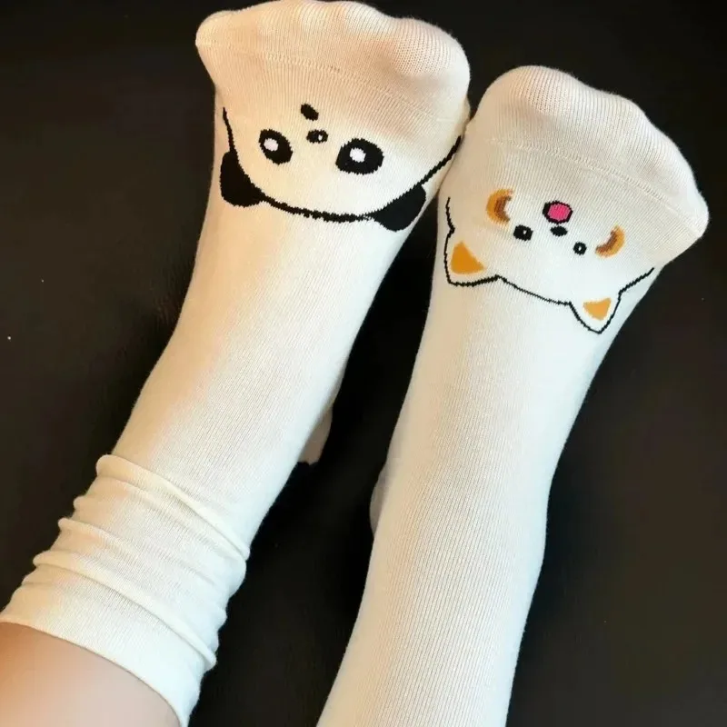 2026 جديد الكورية الكرتون جوارب بصور حيوانات جوارب قطنية Kawaii الأوسط جوارب أنبوبية الباندا الراكون الطباعة المنزل الطابق جورب زوجين الهدايا