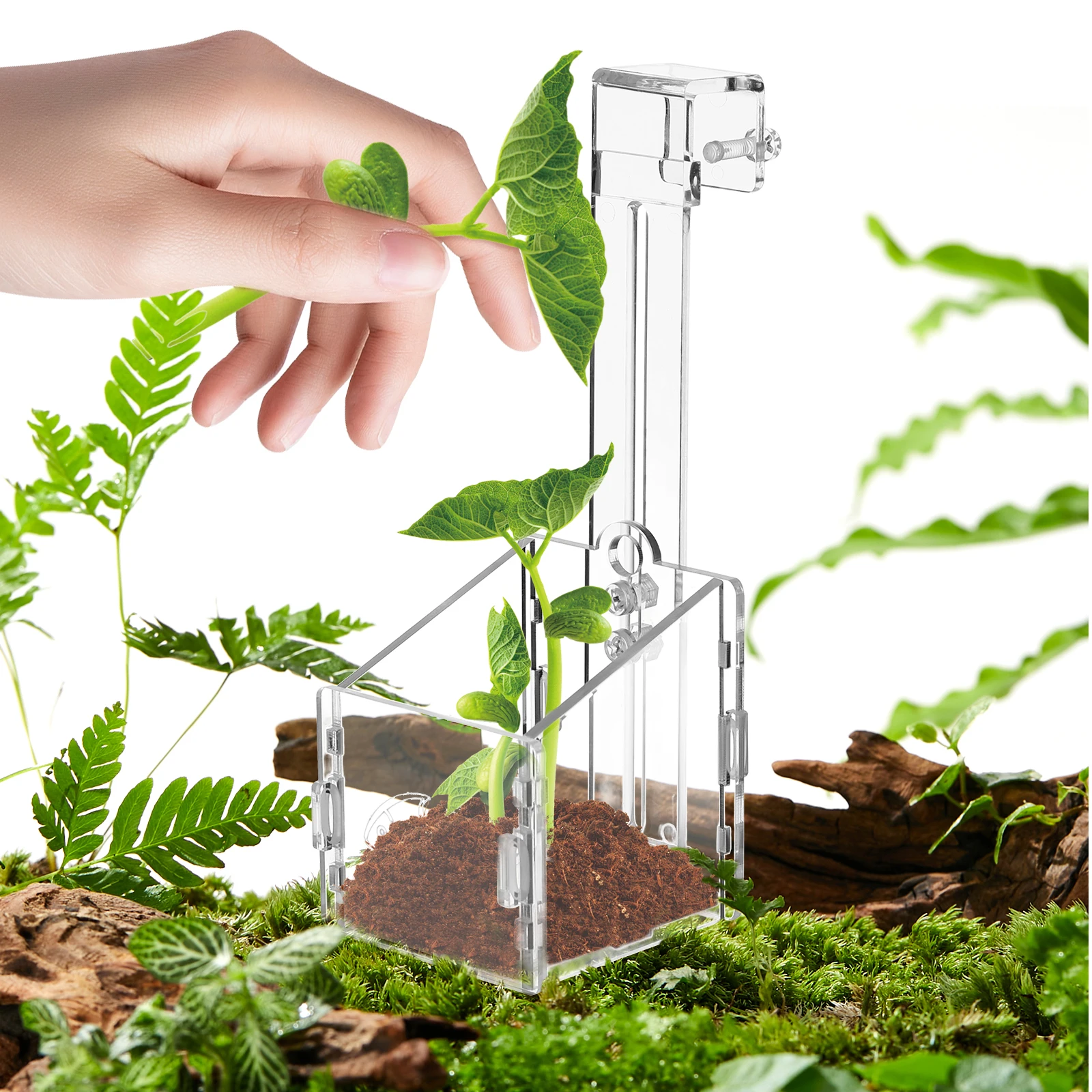 

4 Pcs Aquatic Planting Cup Transparent Acrylic Aquarium Fish Tank Decorations Hanging Planter Reusable Live Plants Vase Pet