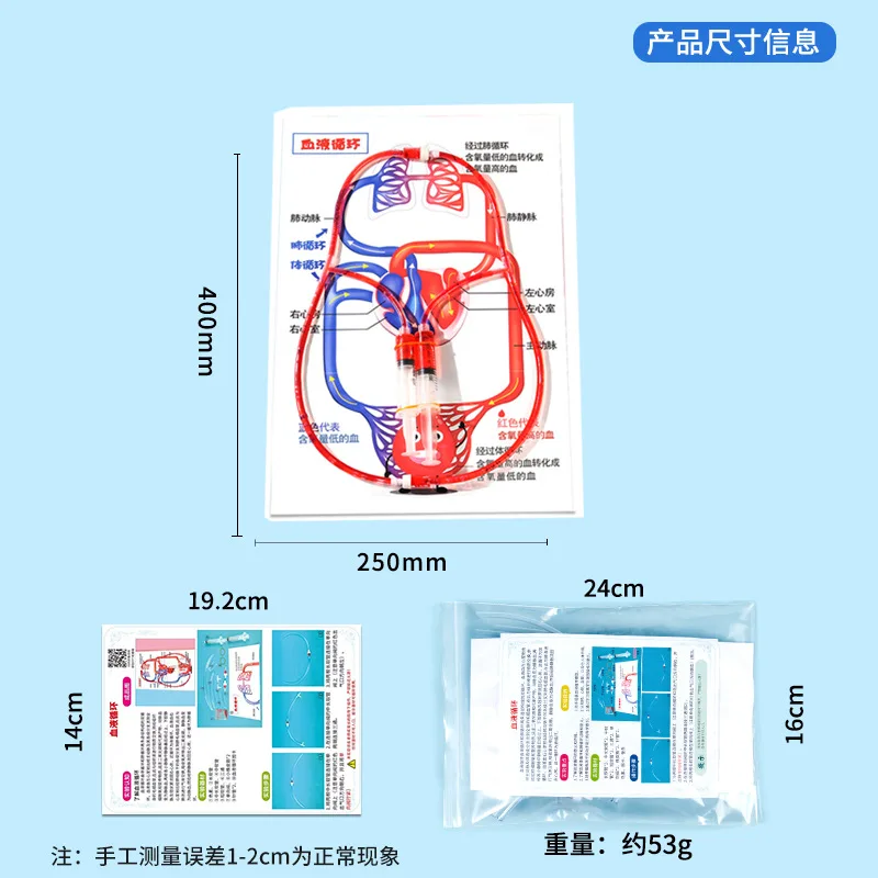 Diy human blood circulation model technology small production children's gizmo scientific experiment