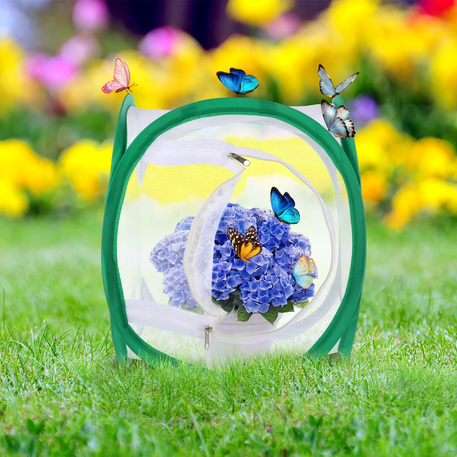 

Butterfly Cage Foldable Habitat 30x30x30cm Insect Observation Mesh Net Outdoor Indoor Plant Cultivation Protective