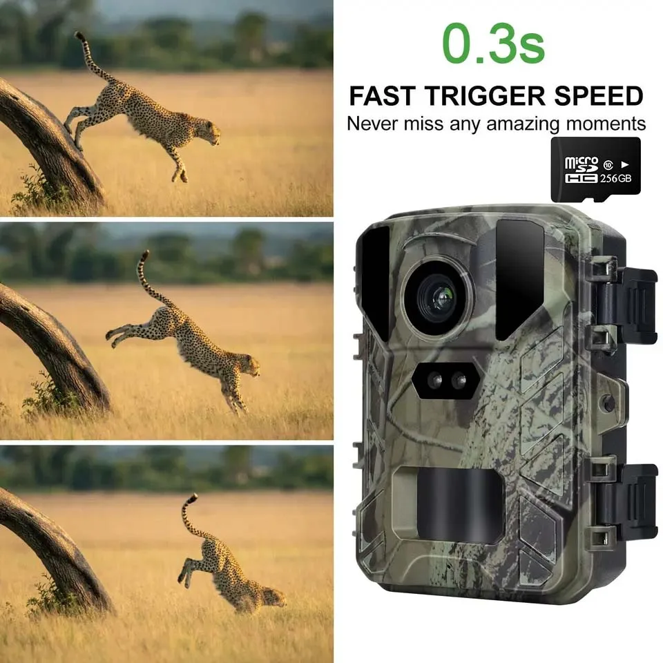 

MiNi Wildlife Trail Camera MiNi800 HD Low Glow Arction 50MP 4K Hunting Camera IP65 Waterproof Photo Trap with Night Vision