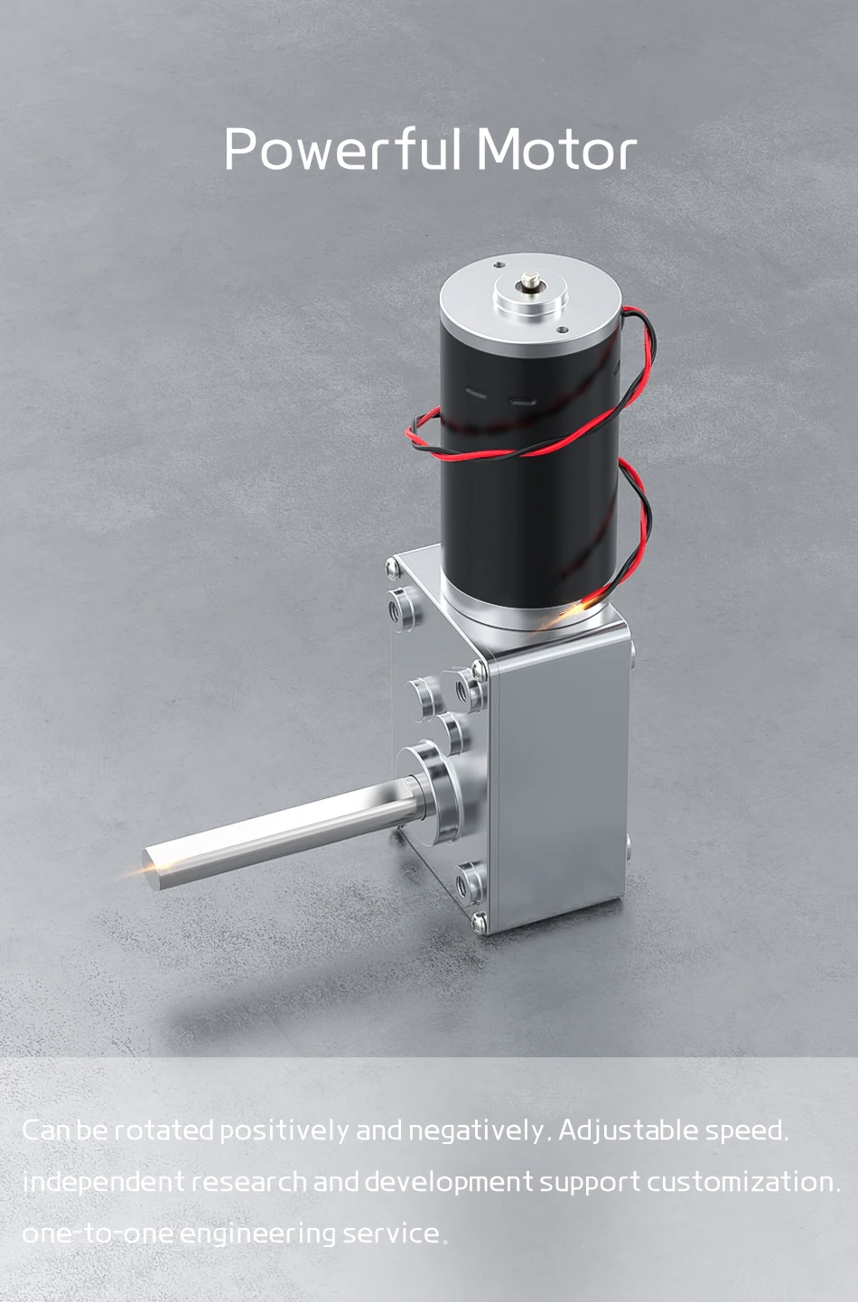 5840-31ZY-51 Getriebemotor 12V~24/7RPM~470RPM Hohes Drehmoment 70KG/CM Hochleistungs-Schneckengetriebe DC-Motor Drehtisch-Tür Selbsthemmender Motor – Detail 12