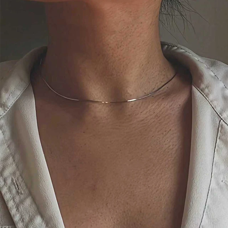 قطعة واحدة من قلادة الأفعى المستديرة المصنوعة من الفولاذ المقاوم للصدأ للنساء، سلسلة بسيطة على شكل عظمة الترقوة، سلسلة عنق #1