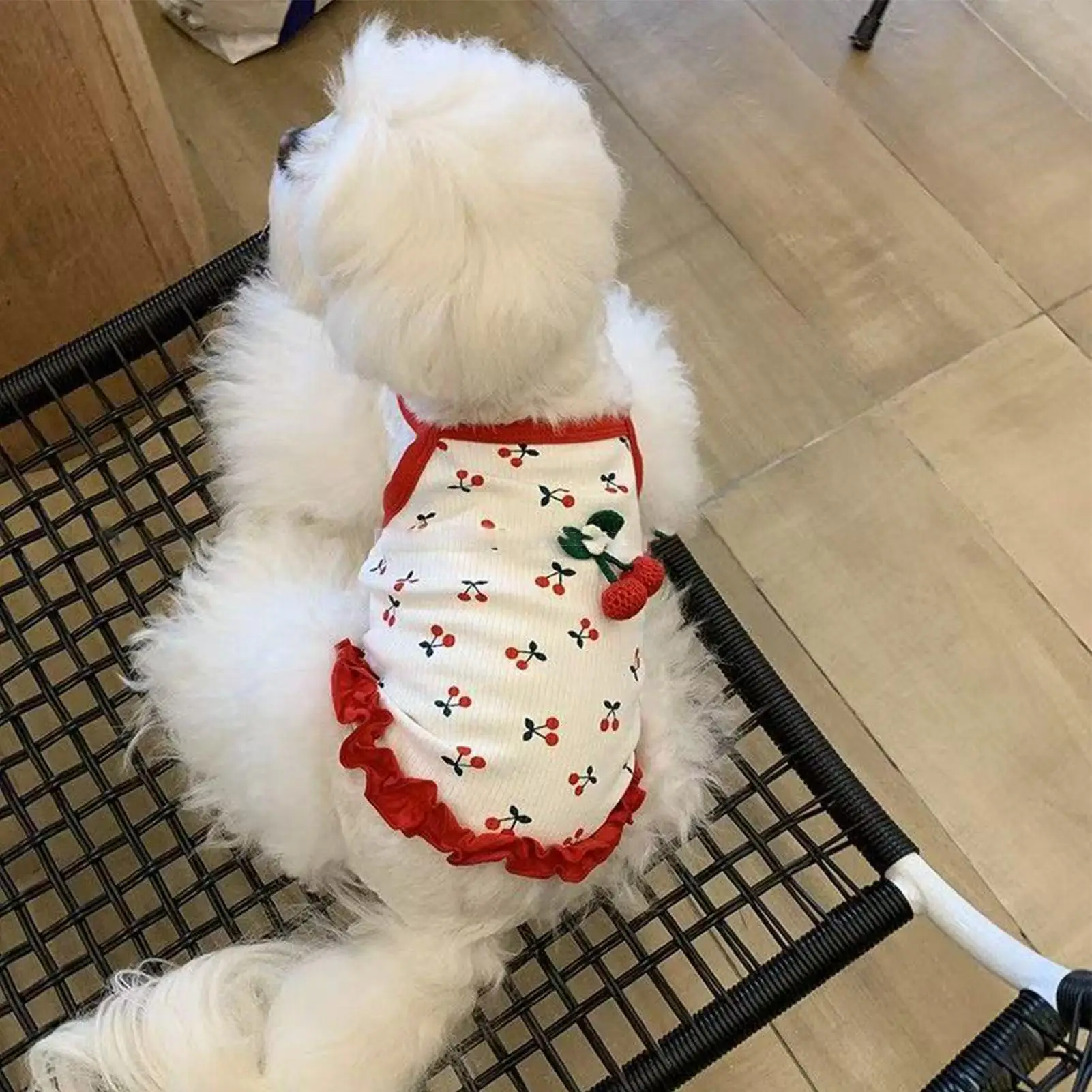 Haustier-Weste, Katzenbekleidung, Niedliche Hundebekleidung für Kleine Hunde, Kirsch-Hundeweste, Atmungsaktive Sommerweste, Weiche Haustierkleidung