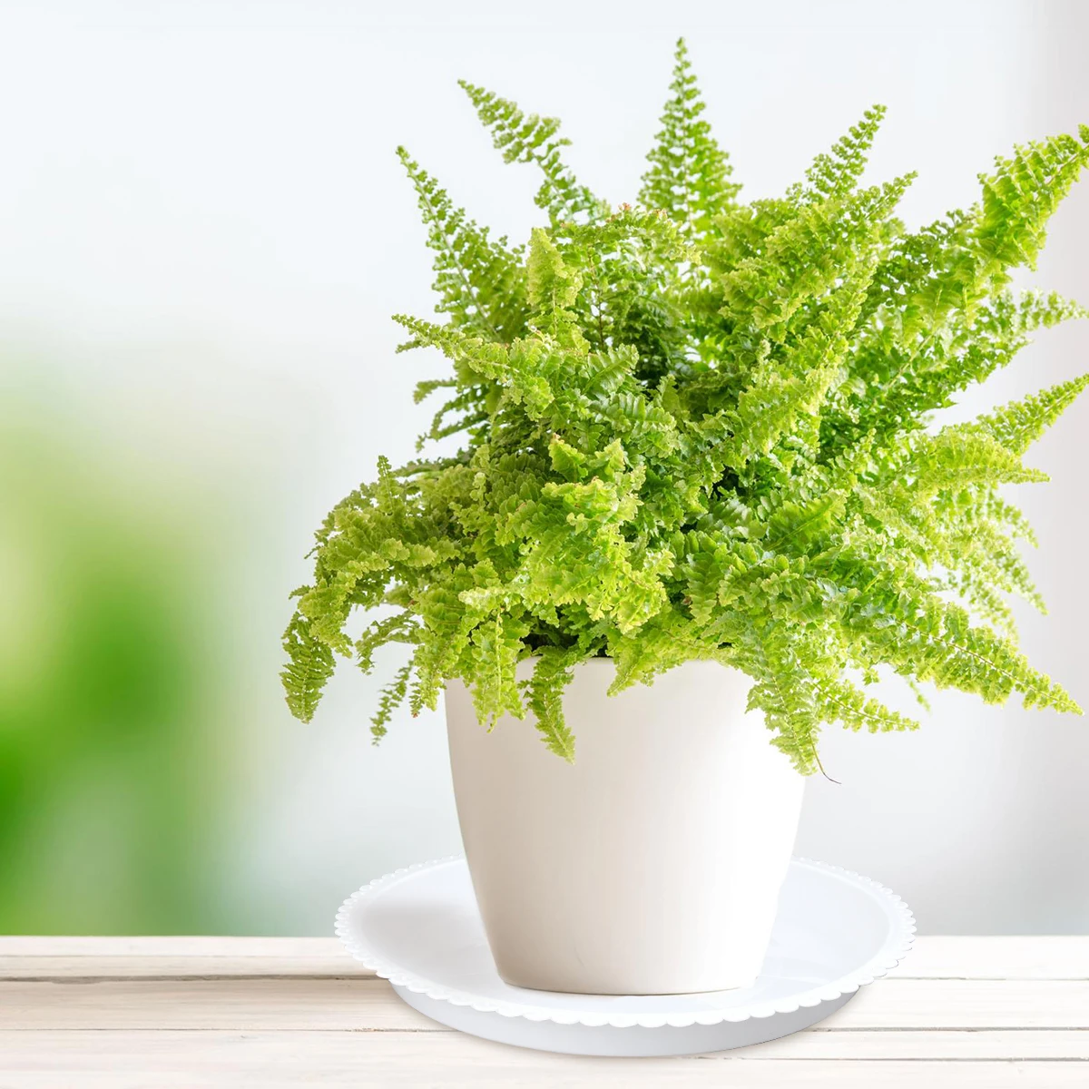 

5 pcs Plastic Flower Pot Tray 26X26X2.5Cm Bonsai Saucer For Indoor Outdoor Plants Drip Tray Plant Stand Base Garden Tool