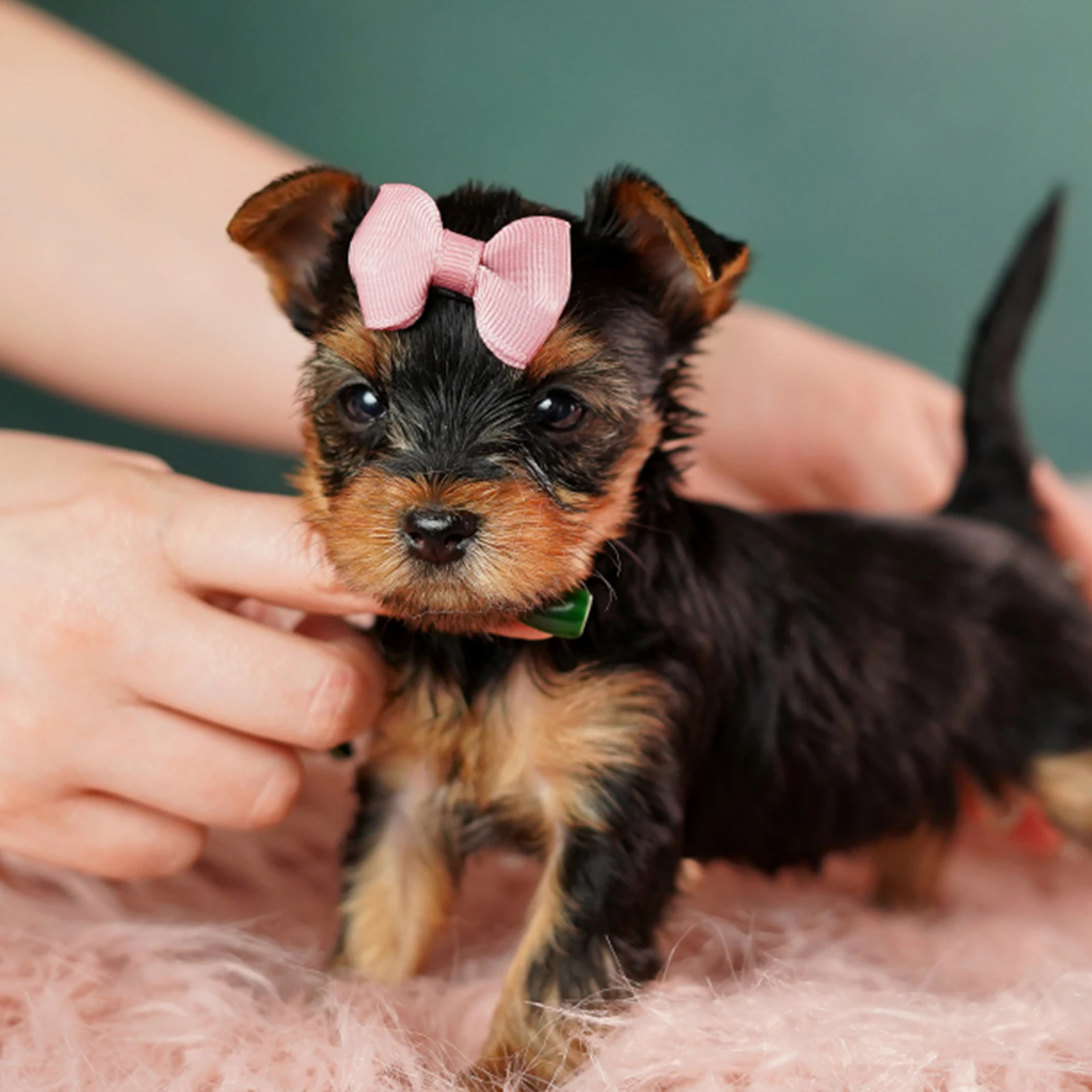 

40pcs Pet Ties for Dogs Accessories Small Dog Bows Rubber Band Puppy Grooming Decor Headwear Adorable