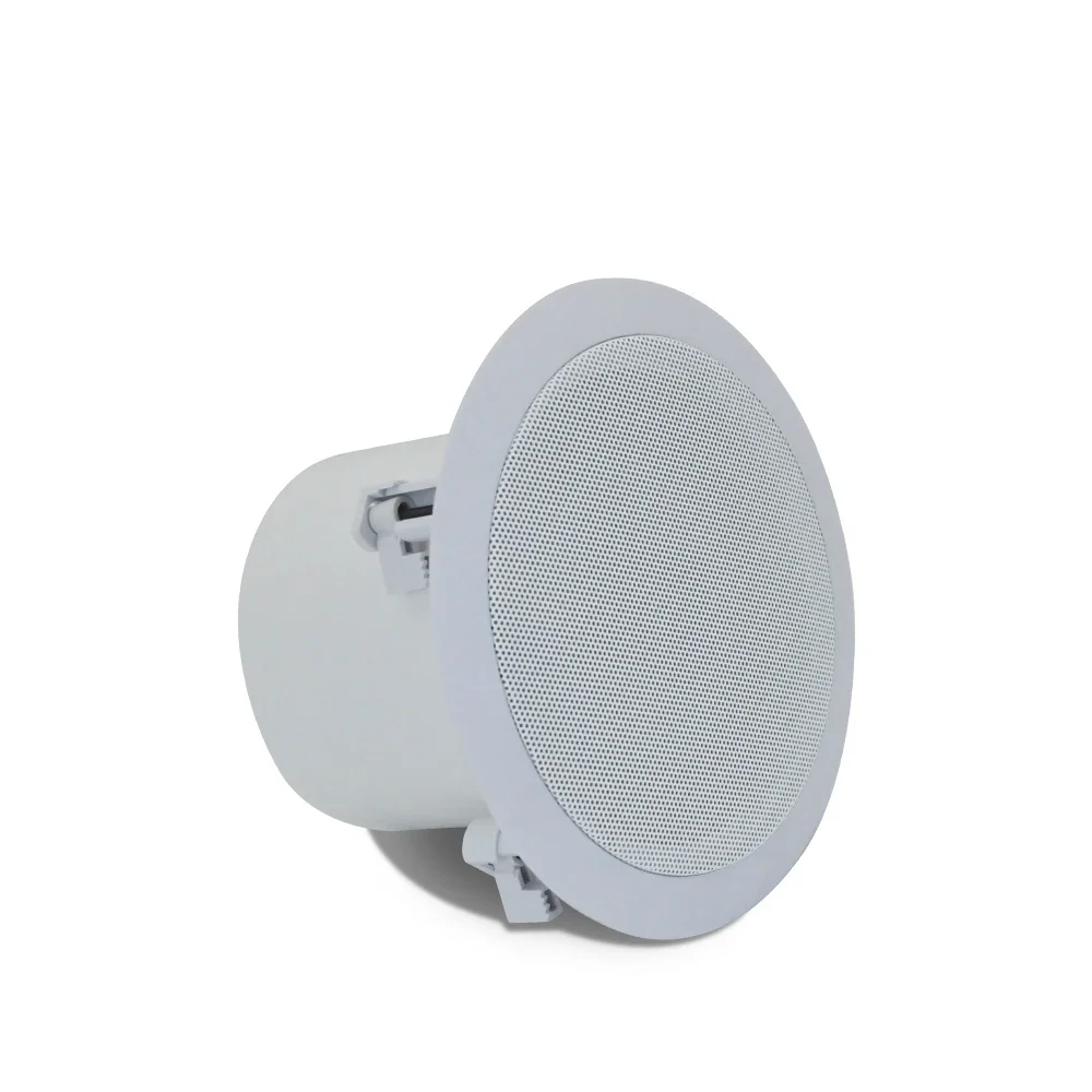 40W Ceiling Speaker Coaxial 100V/70V/8Ω HiFi Stereo Loudspeaker 6.5inch Public Address System In-wall Powerful Home Theater Horn