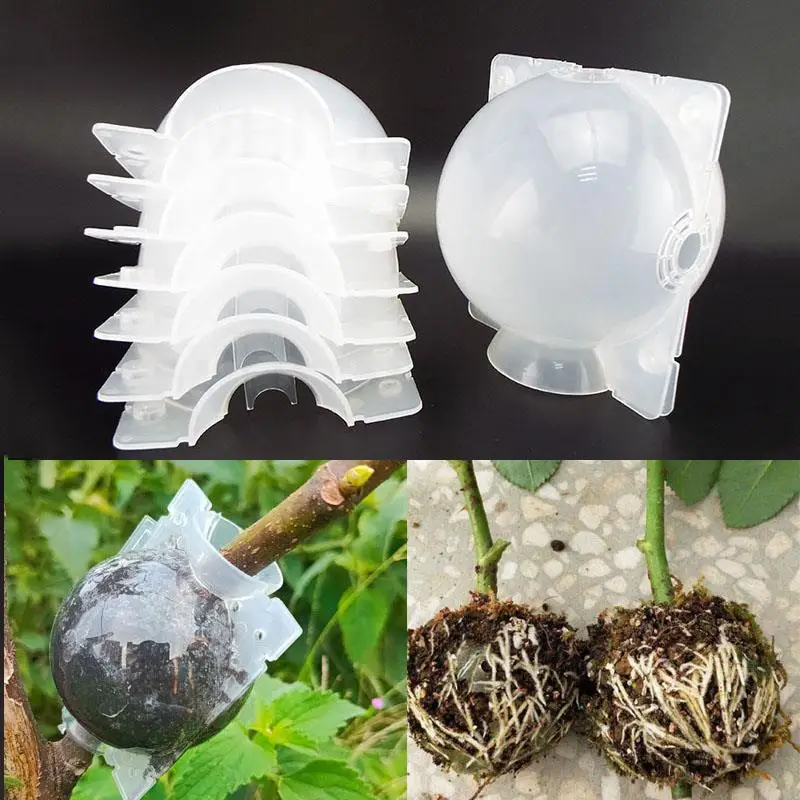 12cm Fruit Plant Tree Rooting Ball Root Box Plastic Case Transparent Flower Grafting Rooter Growing High-pressure Breeding F20