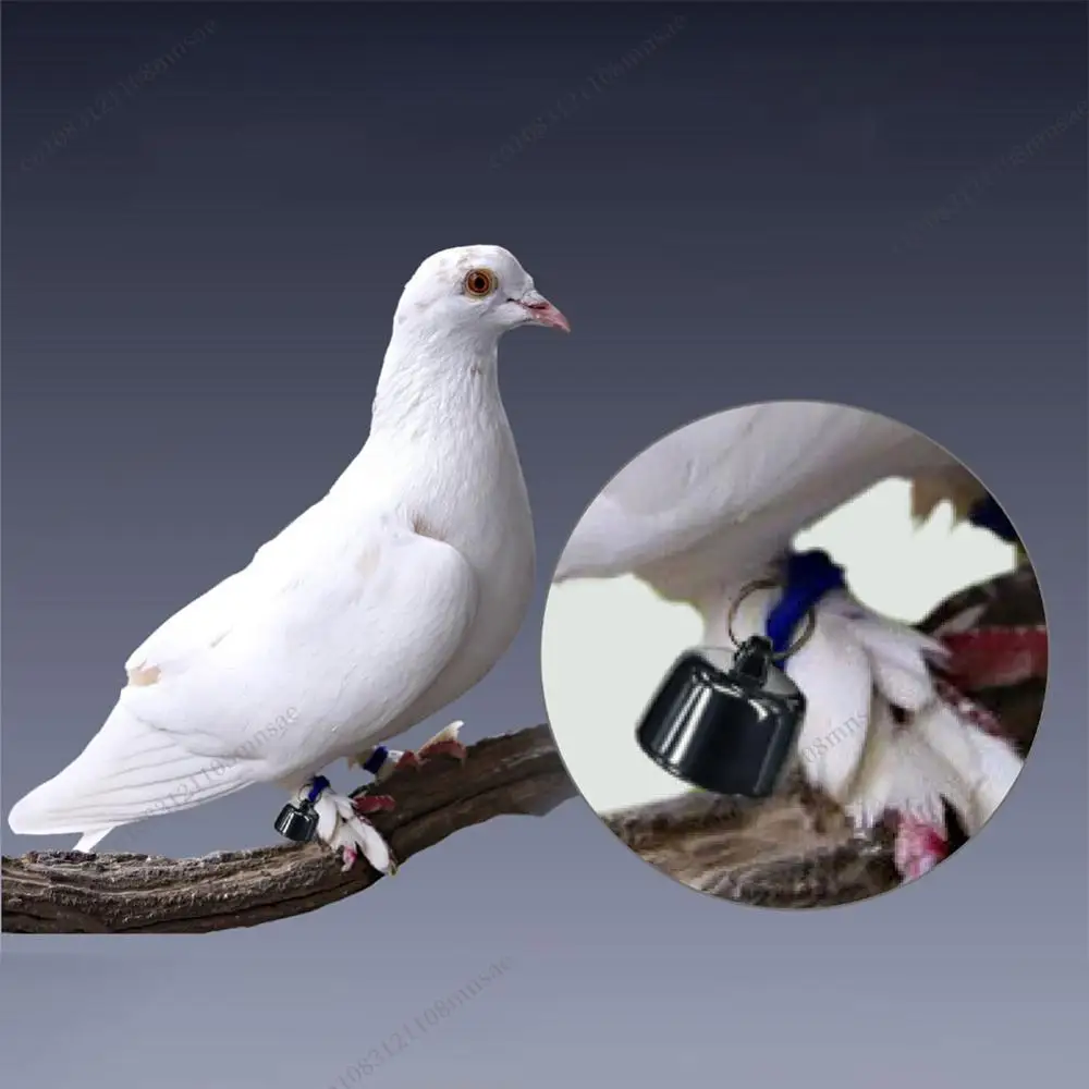 

Трекер для домашних животных с регулируемым ошейником. Умный локатор для собак и кошек.