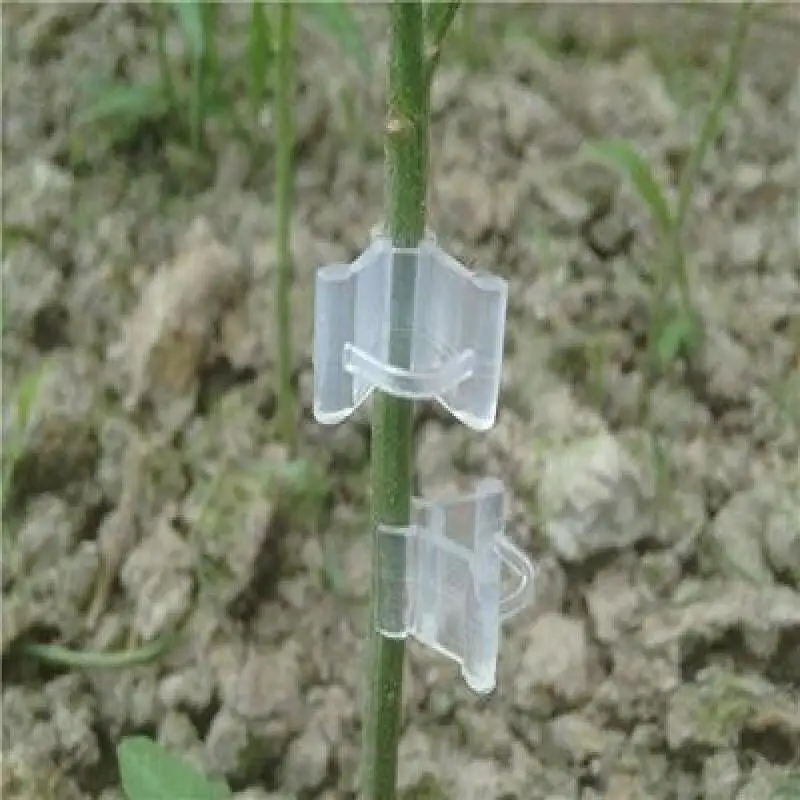 25-100PCS Grafting Clips Tomoto Eggplant Vegetables Grafted Clamp Garden Plants Seedling Tools Transparents Plastic Joint