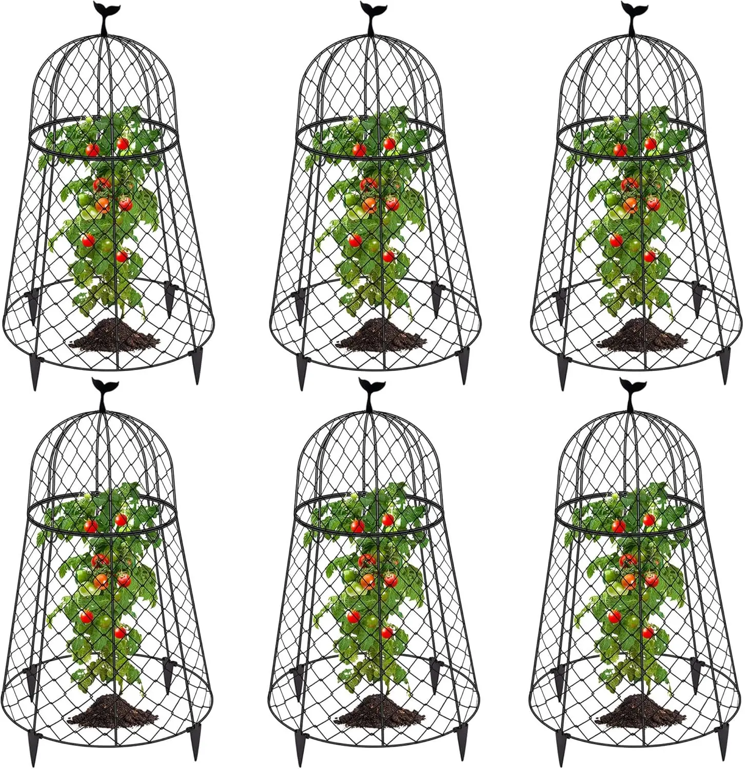 

6-Pack Plant Cloches for Garden Protection, 13" D x 20" H Black Wire Covers to Shield Plants and Seedlings from Animals