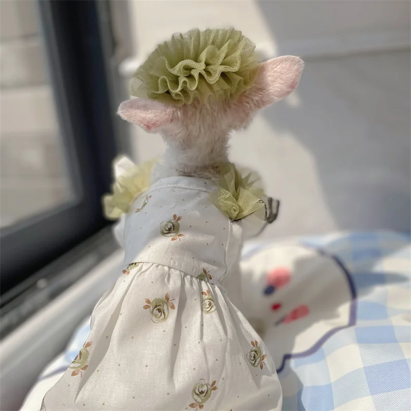 Floral Lace Cotton Dress Hair Band Suit for Sphyinx Cat Summer Green Suspended Princess Skirt For Female Cats Vest for Kittens