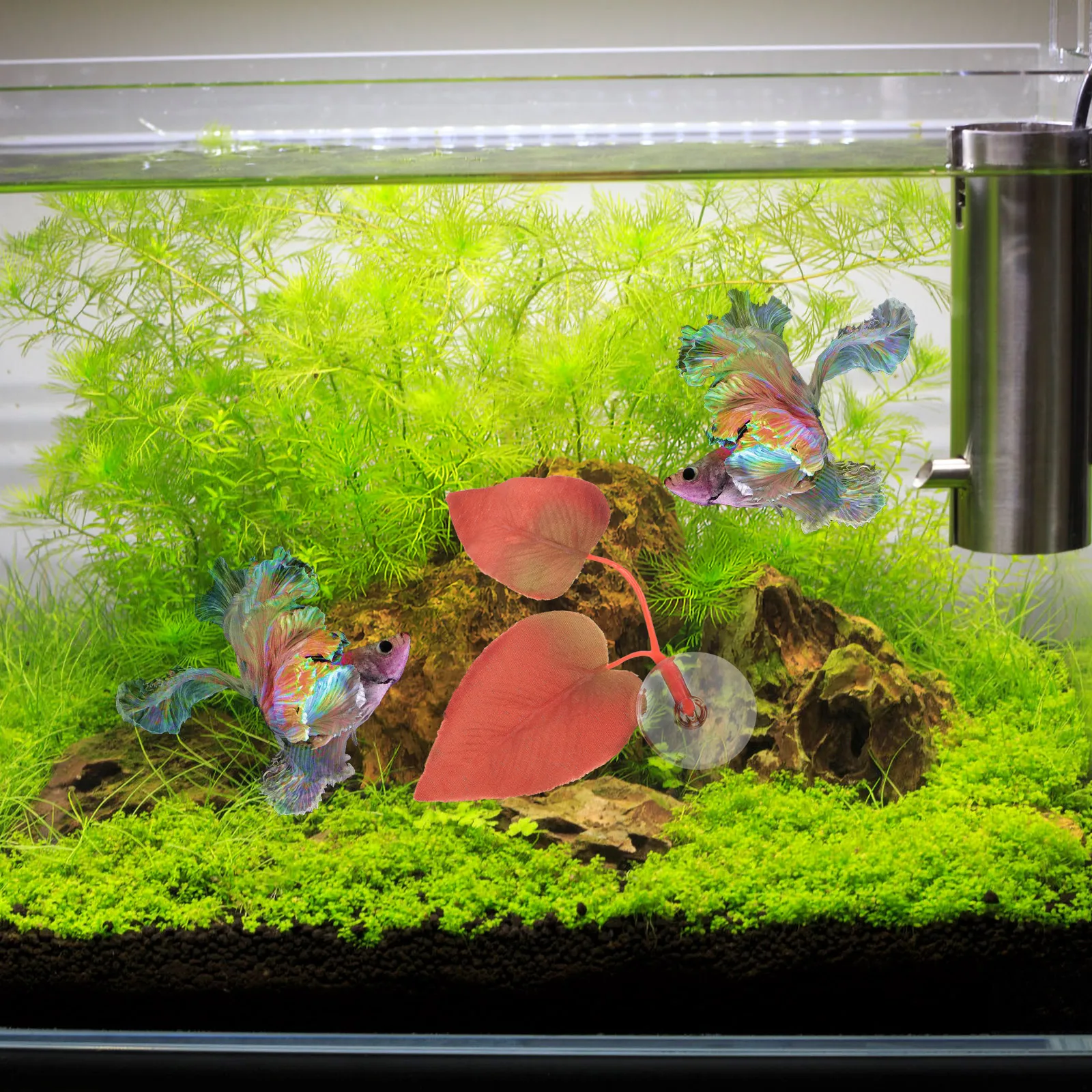 

Silicone Betta Leaf Hammock Artificial Betta Fish Resting Leaf Bed Bed Tank Adornment Fish Hideout Pet Supplies