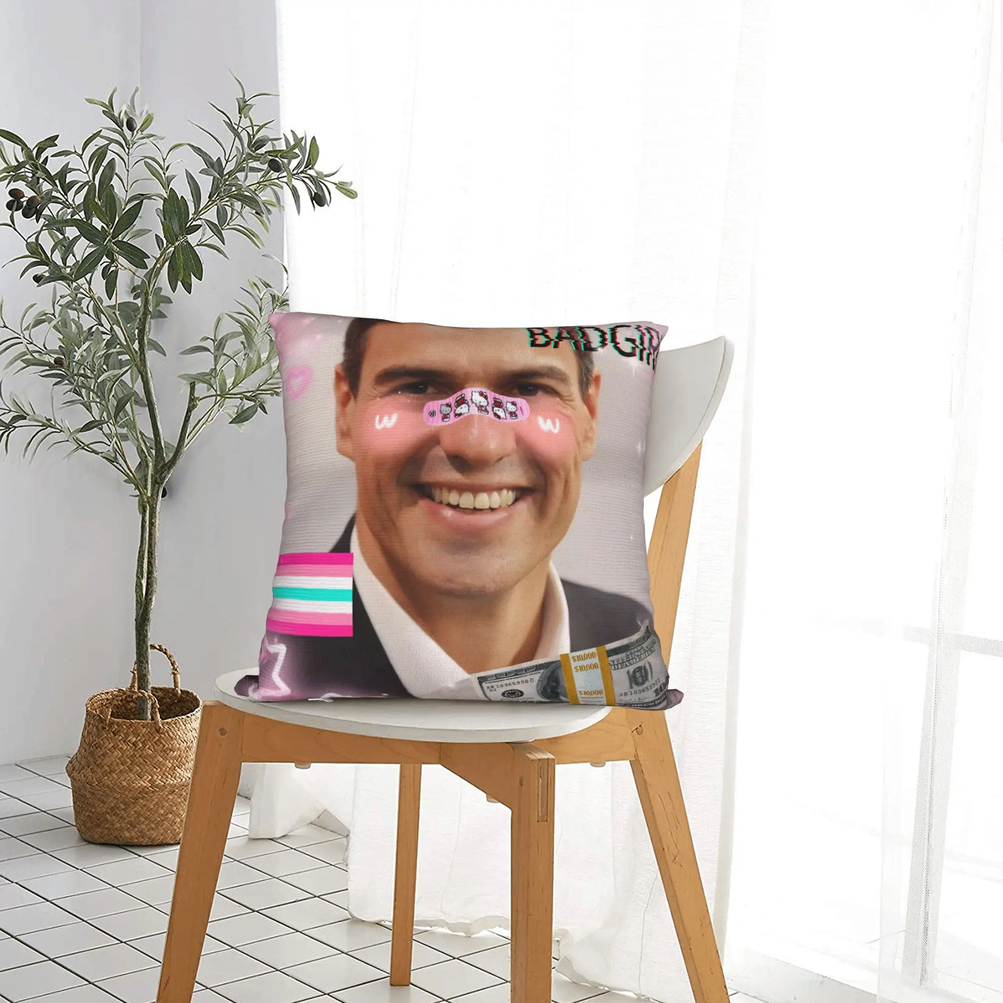 كيس وسادة بيدرو سانشيز إسبانيا PSOE غطاء وسادة بتصميم وردي لكرسي غرفة المعيشة أغطية وسائد مضحكة #5