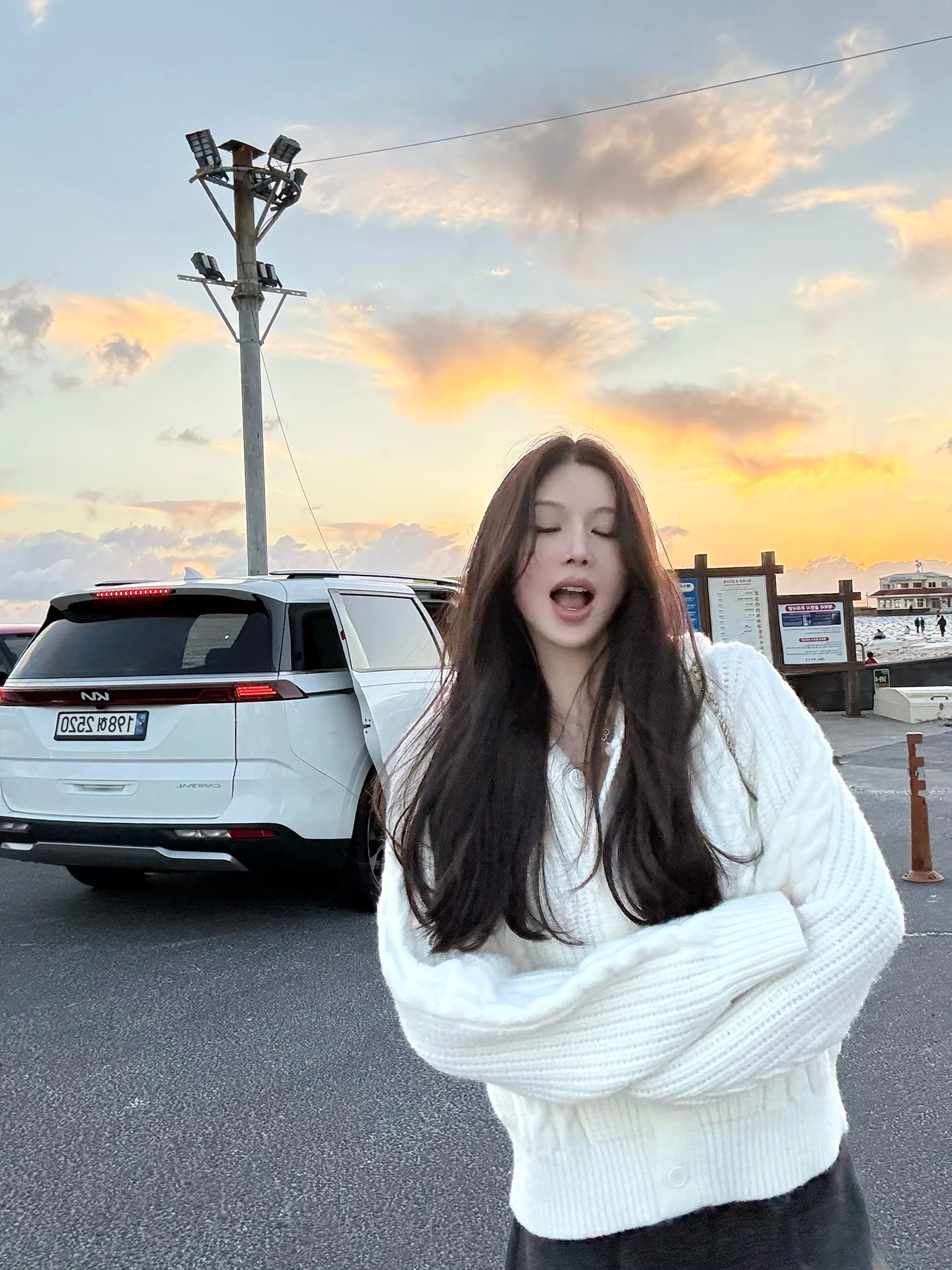 

Женский вязаный кардиган Titi Little Sister Nordic Letter с узором «косичка» и цветами, осенне-зимний, белый, с капюшоном, толстовка-куртка