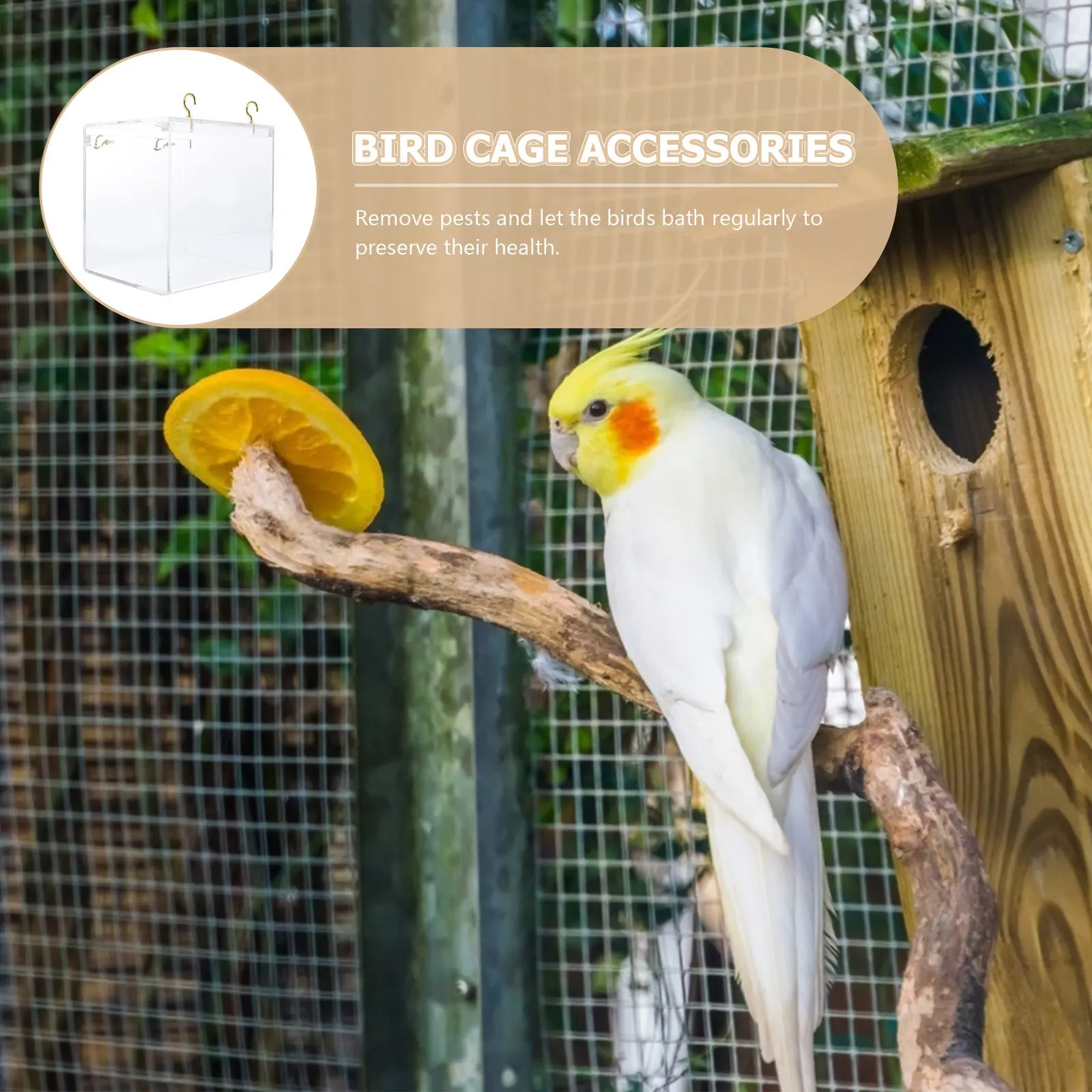 Clear Acrylic Bird Bath Tub for Parrot Budgerigar Small Birds Cage Use Stress Relief Natural Cleaning Sand Bath Shower Box Bird
