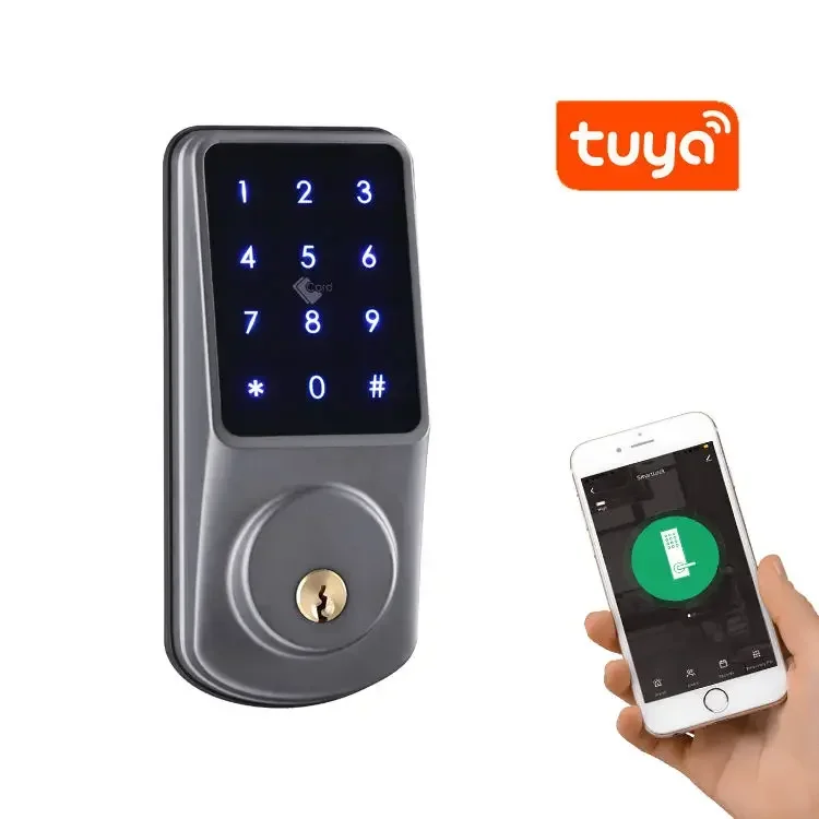 Tuya-電子キーレスエントリーロック,wifi,屋外ドア,ttlockアプリ,タッチパッド,リモートコントロール,デッドボルトスマートロック