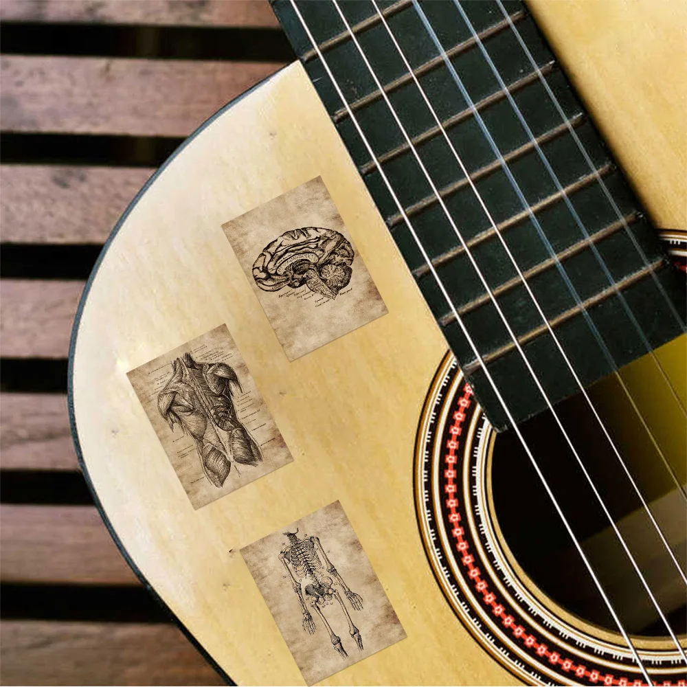 56 sztuk anatomia fizjologia ludzki szkielet Horror naklejki struktura ciała naklejki naklejki na gitarę bagaż Notebook podkładka pod laptopa