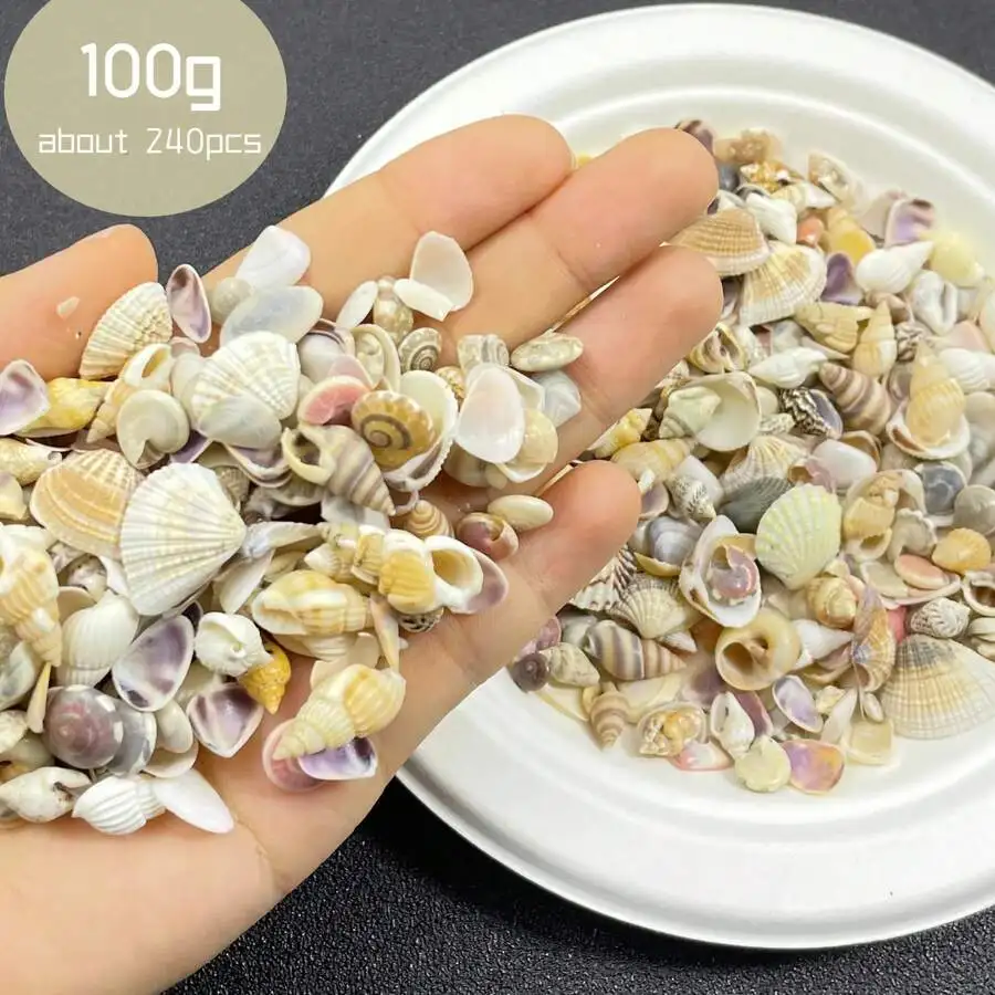 Colorful Mini Shell Sand Mix 100g Bag, Suitable For DIY Crafts, Scrapbooking, And Decoration Of Drift Bottles And Aquariums