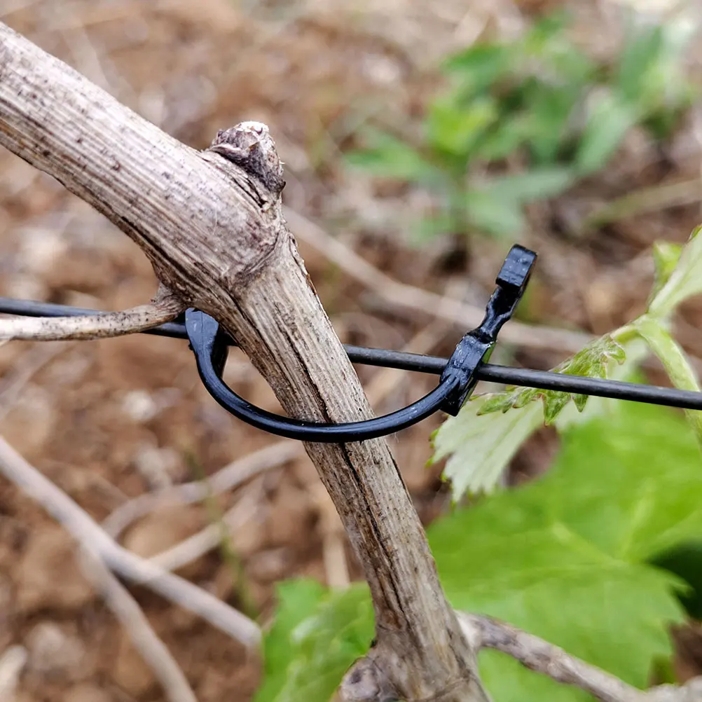 

Plant Clips Vine Stem Clips Support For Grape Tomato Watermelon Climbing Plants Sturdy Plastic Garden Supplies Stem