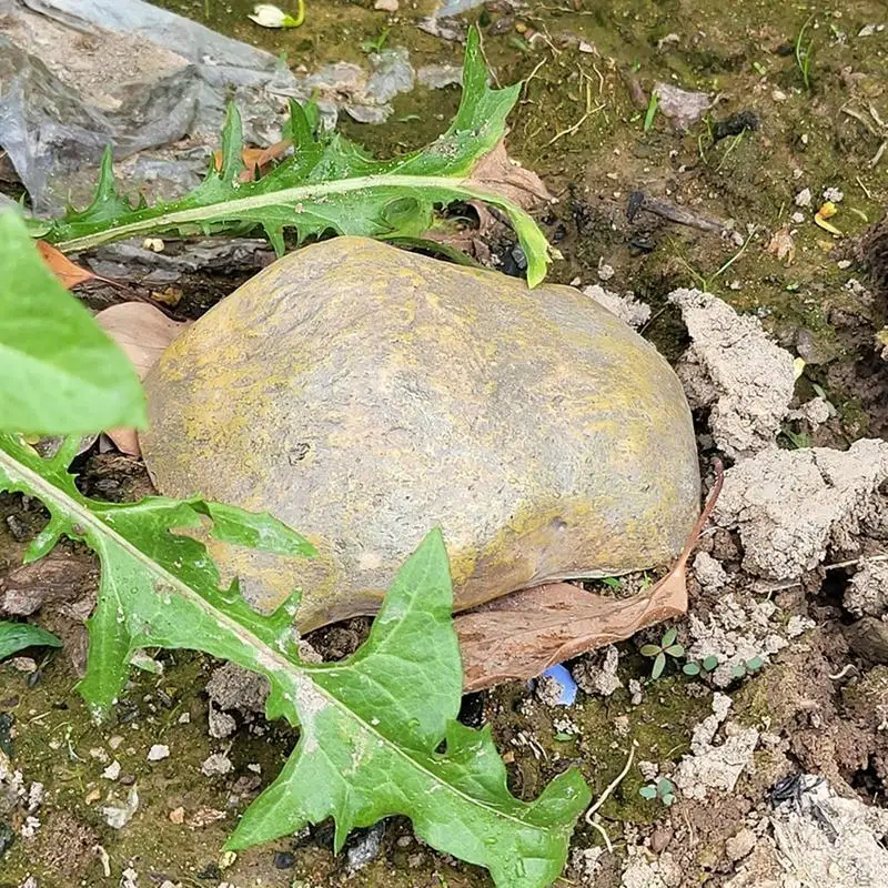 Gesimuleerde Stenen Sleuteldoos Tuinsleutel Verstoppen Zich In Echt Uitziende Stenen Nepsteen Simuleert Stenen Sleutelkast Tuinsleutel Verstoppen Een Sleutel