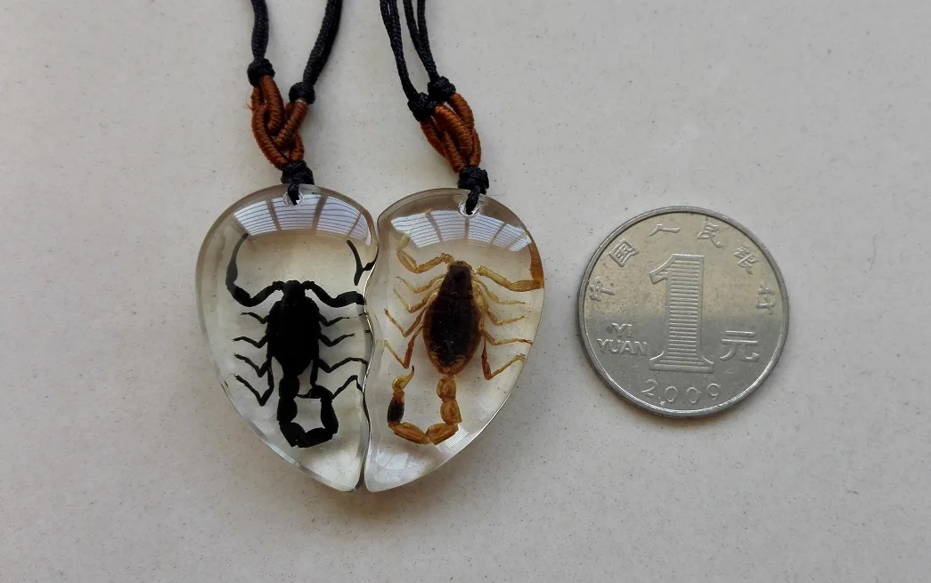 Gothic Vintage Necklace Scorpion Spider Ant Charm Resin Necklace Fashion Real Insect Specimen Jewelry Gift Rope Chain Choker New