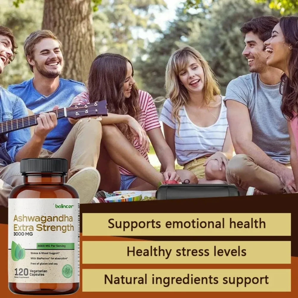 Ashwagandha Capsules for Enhance Physical Strength and Endurance Relieve Stress and Anxiety Improve Sleep Quality Antioxidant