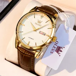 OLEVS New Business Mens Mechanical Watches Waterproof Genuine Leather Brand Luxury Automatic Wristwatch Clock Relogio Masculino