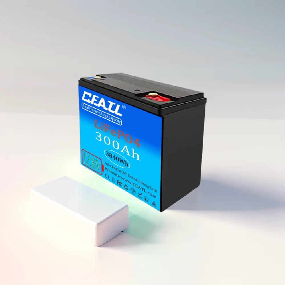 

DGCF12V 100Ah LiFePO4 Battery Packs Grade A Cells Rechargeable For Outdoor / Home Storage Lithium Iron Phosphate Batteries