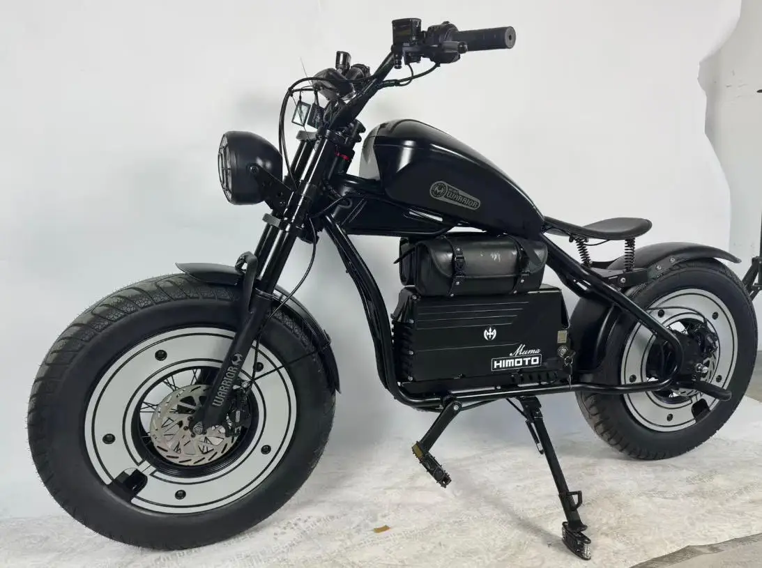 Warrior Electric motorcycle 3000W motor 60V 45AH battery electric bike 115N.m 20 inch tire off road riding mountain e bike