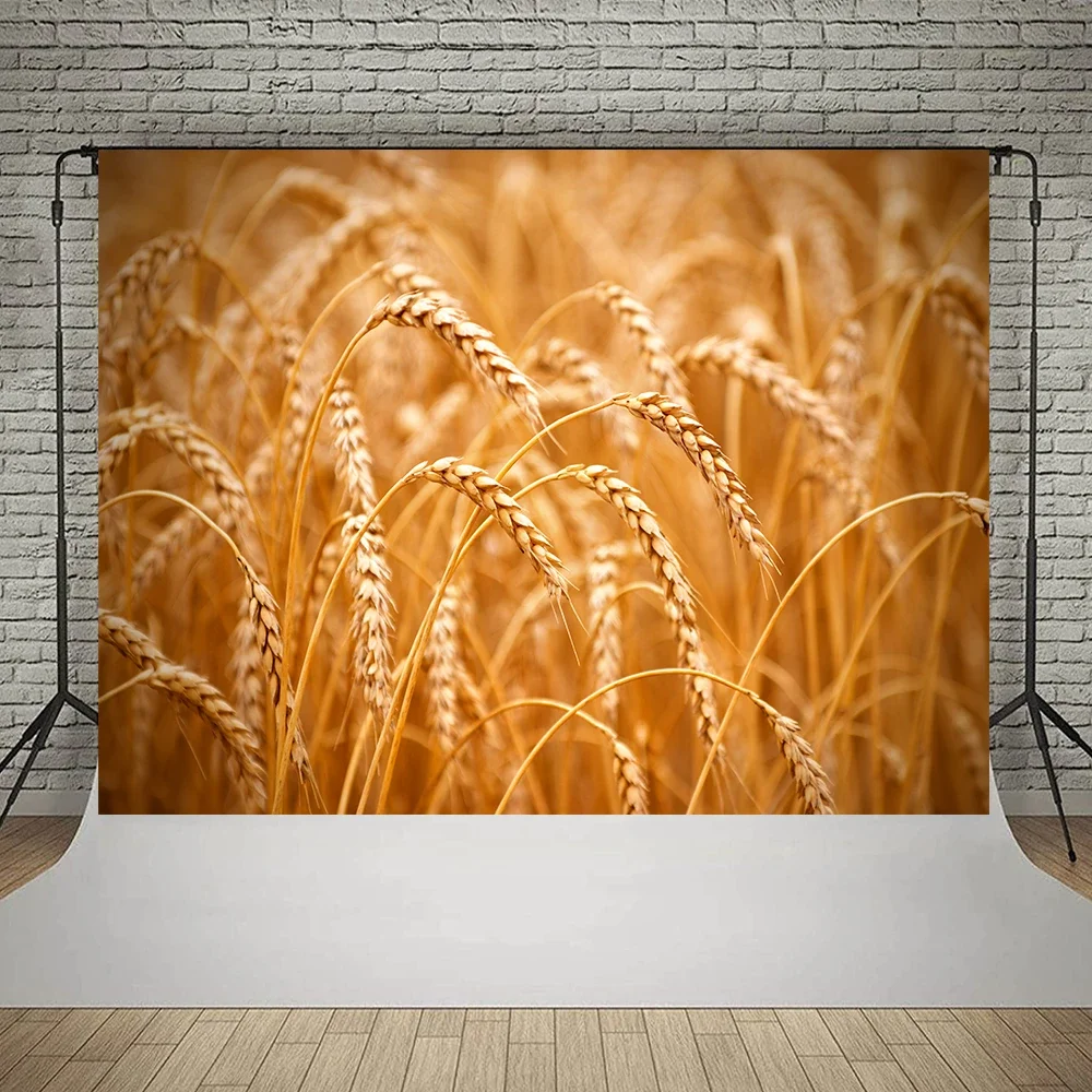 Photography Backdrop Golden Wheat Spikes Grass Crop Autumn Farm Haystack Background Props Photocall for Photo Studio