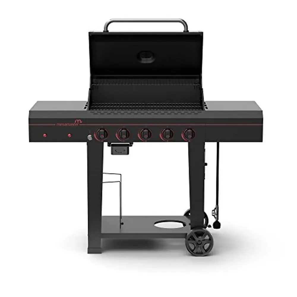 5 Burner Gas BBQ Grill 656 sq. in. Cooking Area 50,000 BTUs Cast Iron Grids Side Shelves Hooks Outdoor Cooking Patio Grill