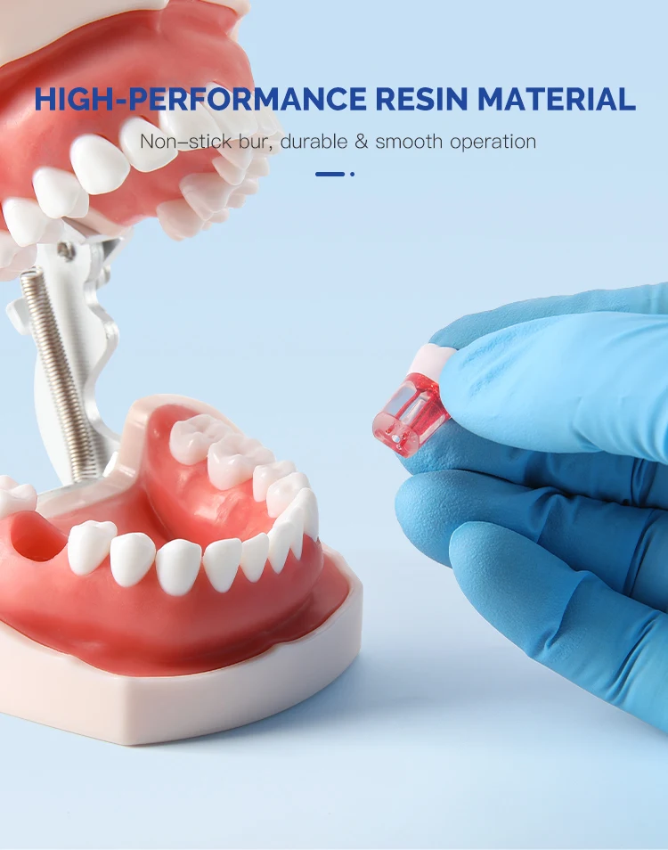28-teiliges Set AZDENT Dental RCT Wurzelkanal-Übungsmodell Zähne Typodont Endo-Trainings- und Lehrmodell Endodontisches Harzzahnmodell – Detail 5