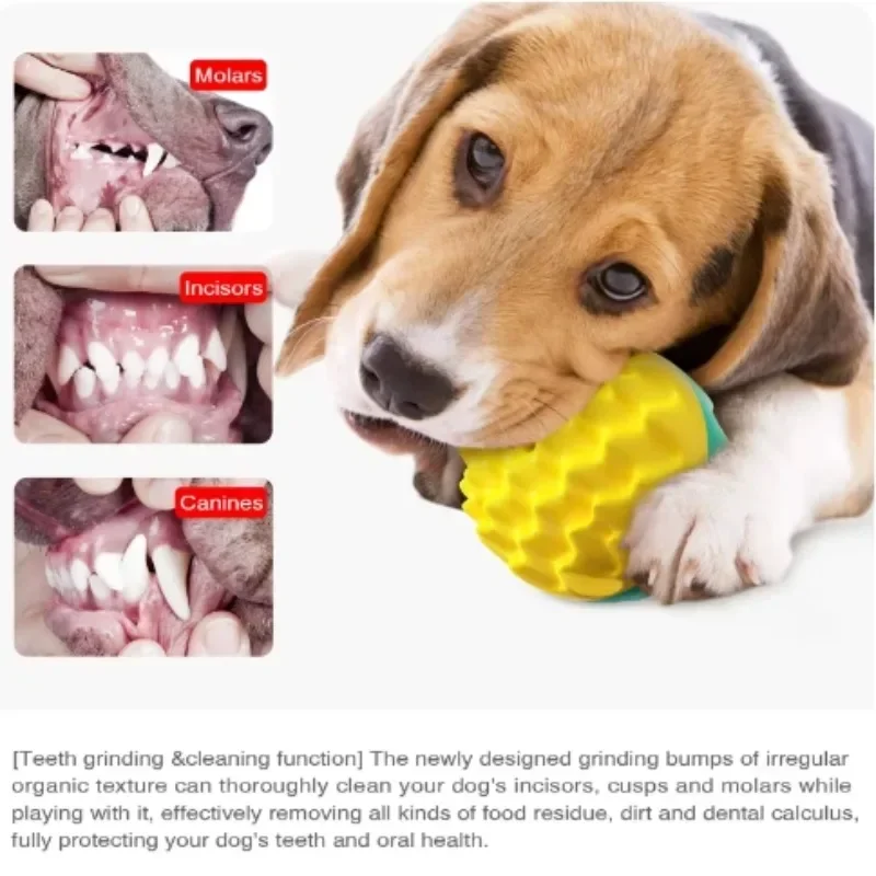 Pet Dog Ball Chew Toy ForSmall Medium Large DogsOutdoor InteractiveSqueaky Toys TeethCleaning Chihuahua YorkiesPet Supplies