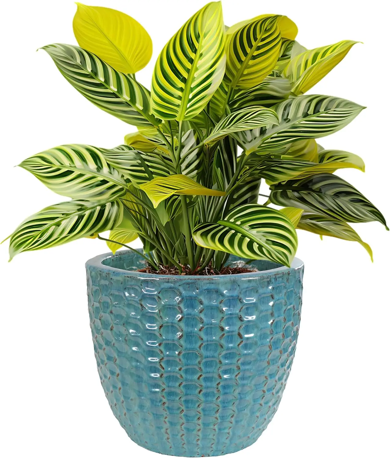 14" Raised Hexagon …