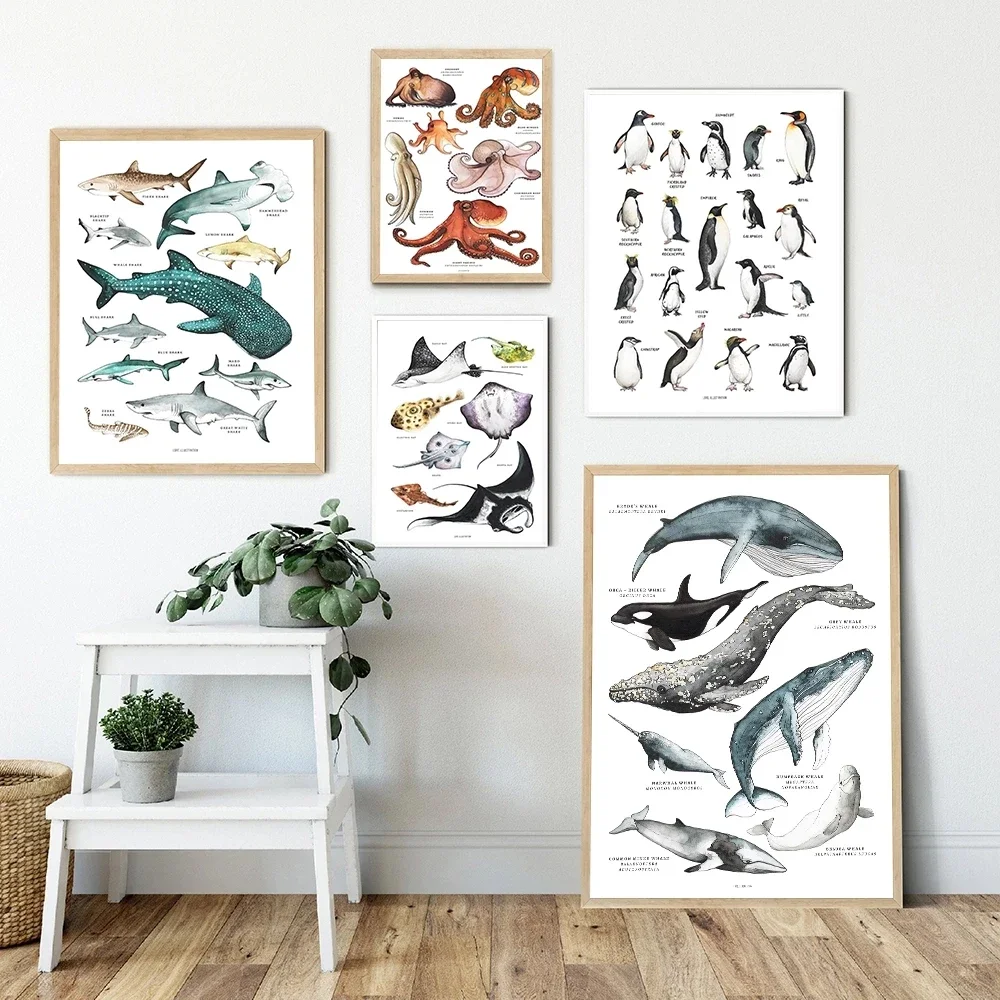 Scandinavian Simple Wall Art Rays Octopus Whale Shark Marine Animal HD Canvas Poster Print Home Bedroom Living Room Decor