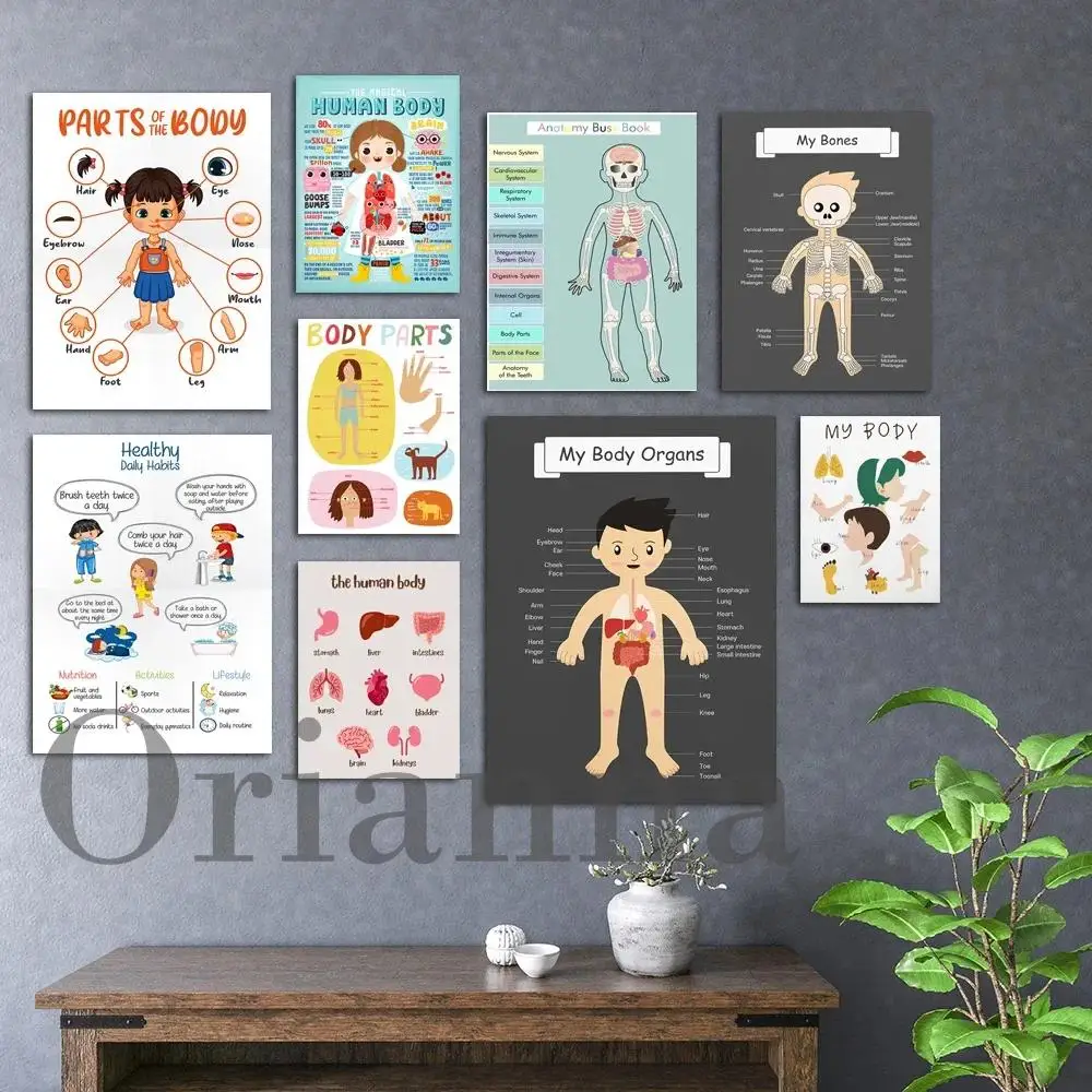 Pädagogische Kinder-Skelett-Anatomie-Wandkunst-Poster, Körperteile, Organe, Knochen, Leinwanddruck mit gesunden täglichen Gewohnheiten für Kinder