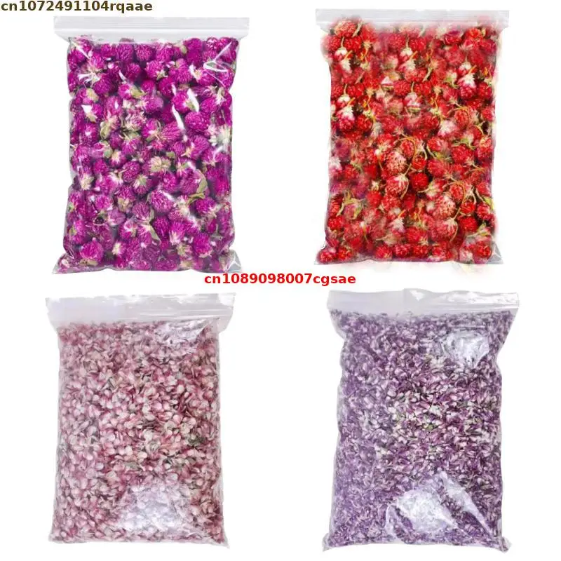 High Quality Natural Globe Amaranth Dried Flower Petal For Wedding Decoration Mix Flower Making Materials