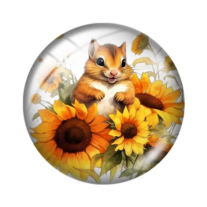 السمين السنجاب 12/18/20/25 مللي متر الزجاج كابوشون قلادة سوار قلادة خواتم للمجوهرات التجريبي أقراط الظهر صنع النتائج