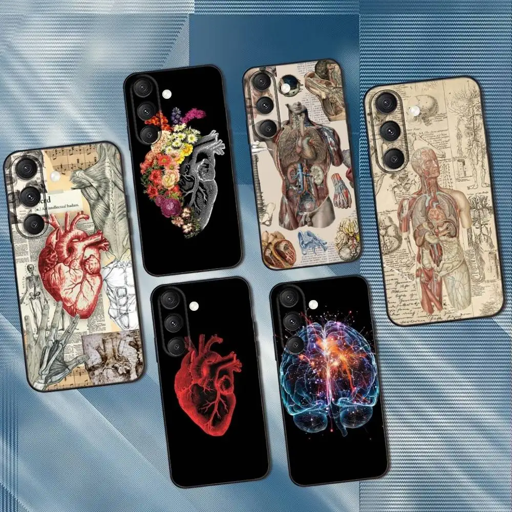 

Human Anatomy Medical Phone Case For Samsung S25,S24,S23,S22,S21,S20,S10,Ultra,Plus,Lite,FE,Soft Silicone Black Cover