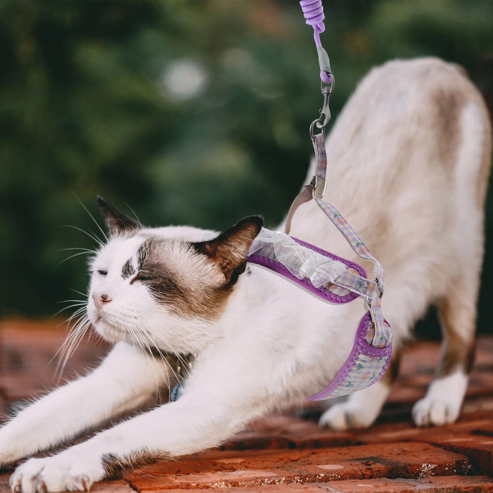 

Dog Leash Cat Walking and Harness Leashes for Medium Dogs Rope Strap Training Nylon Belt Travel Accessories
