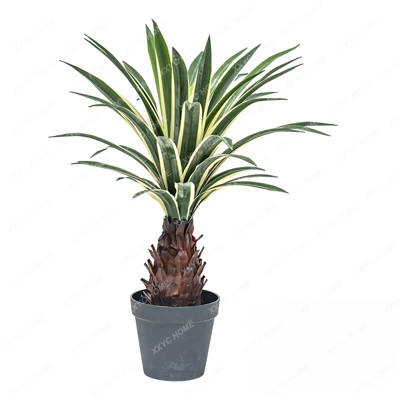 

Simulation Dracaena Agave Fake Trees Greenery Potted Indoor Living Room Landscaping Decoration Decoration