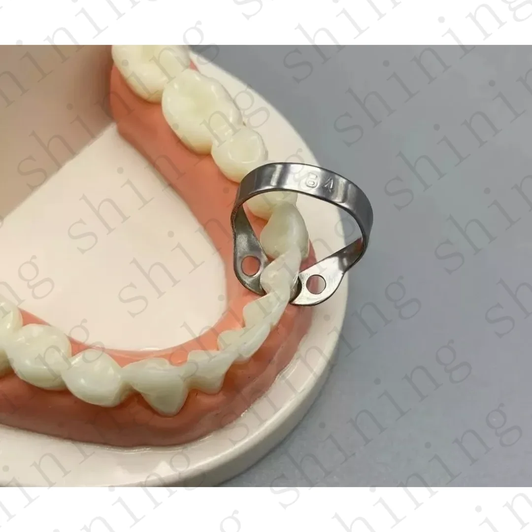 Afbeelding 4: Dental B4 Klem Rubber Dam Klemmen Brinker Endodontische Restauratieve Barrière Clip Past op Coltene RVS