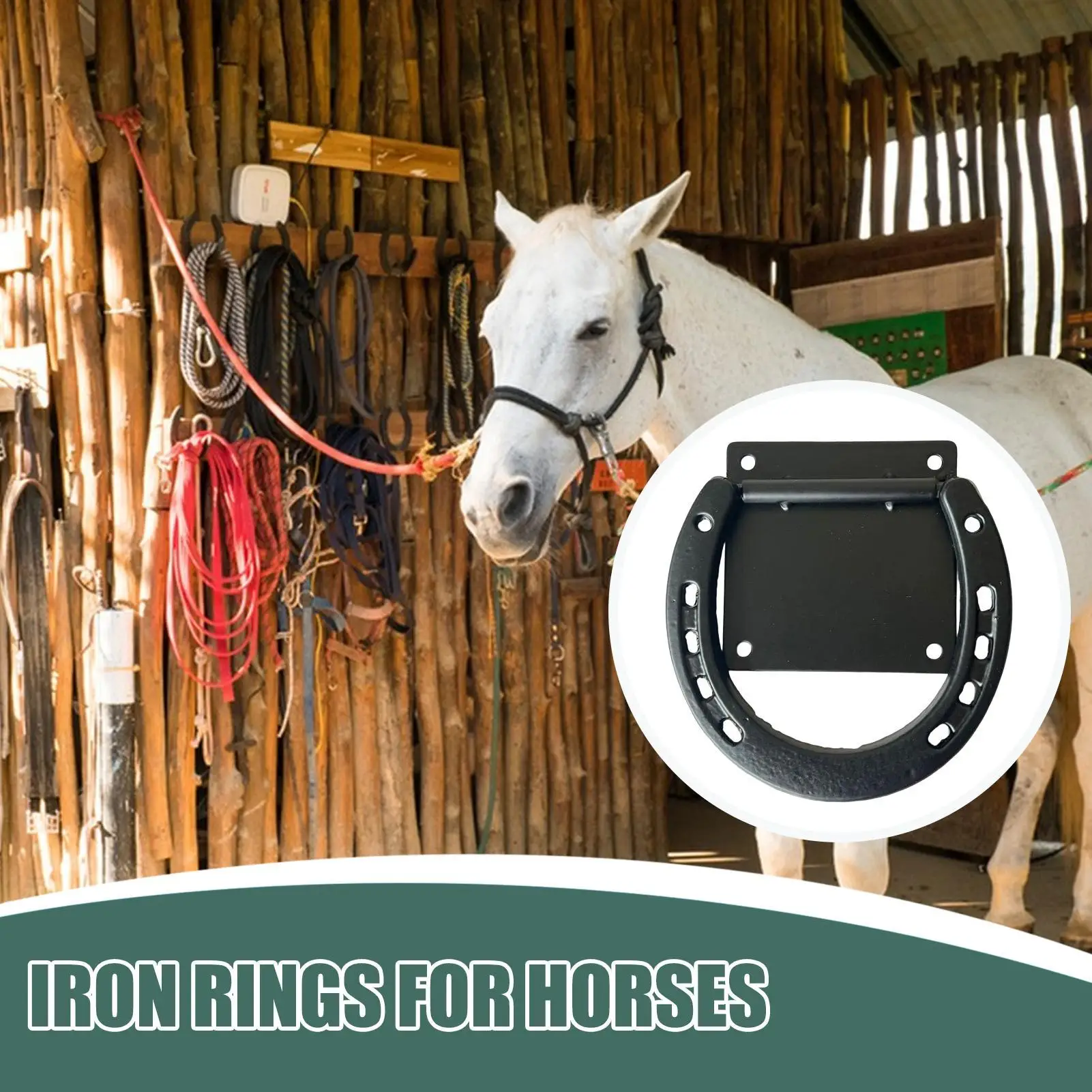 Anello per legare il cavallo Anello per legare il cavallo Forniture per fienile con viti di espansione per recinzione esterna Pascolo stabile per il contenimento degli animali