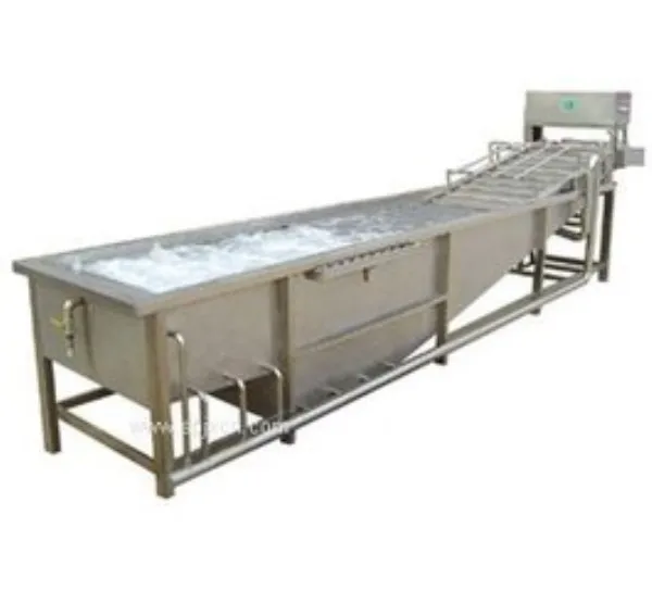 Stainless Steel Apple Pear Mango Bubble Washer Fruit And Vegetable Washing Cleaning Processing Equipment