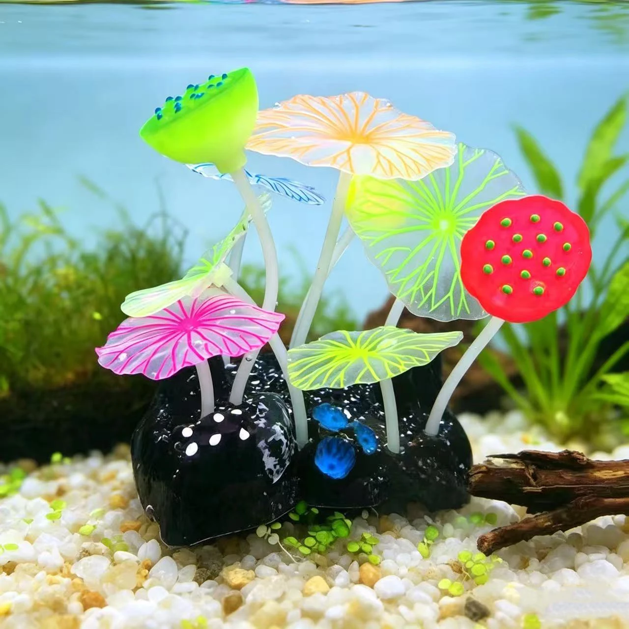 수중 발광 실리콘 3개 연꽃 씨 껍질 6개 투명 연꽃잎 - Aquarium Plant Seeds 리뷰 및 가격