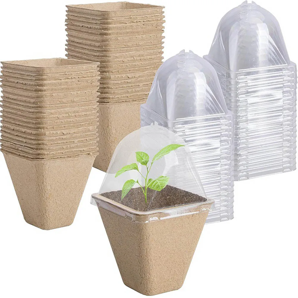 8cm Seed Starter Environmentally Friendly Non-toxic Biodegradable Peat POTS，Seedling Planting POTS with Humidity Domes,Pulp Cup