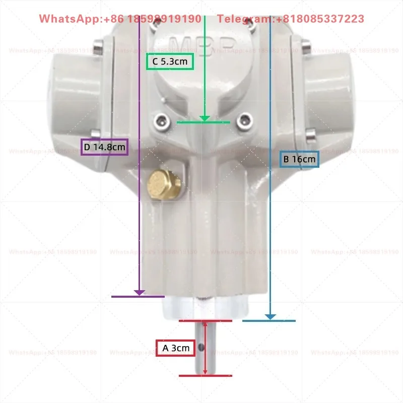 50 Reversible Air Motor - 200L Stirring 1/8HP Air Motor for Industrial Stirring Applications