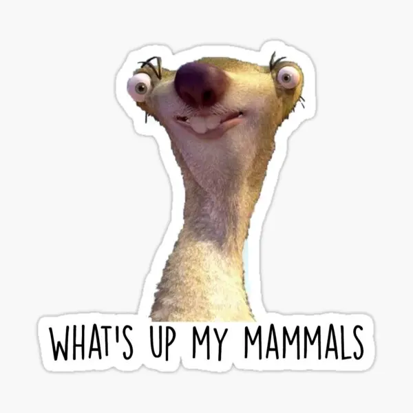 Whats Up My Mammals Its Sid The Sloth  5PCS Stickers for Wall Window Print Living Room Luggage Decor  Water Bottles Cartoon